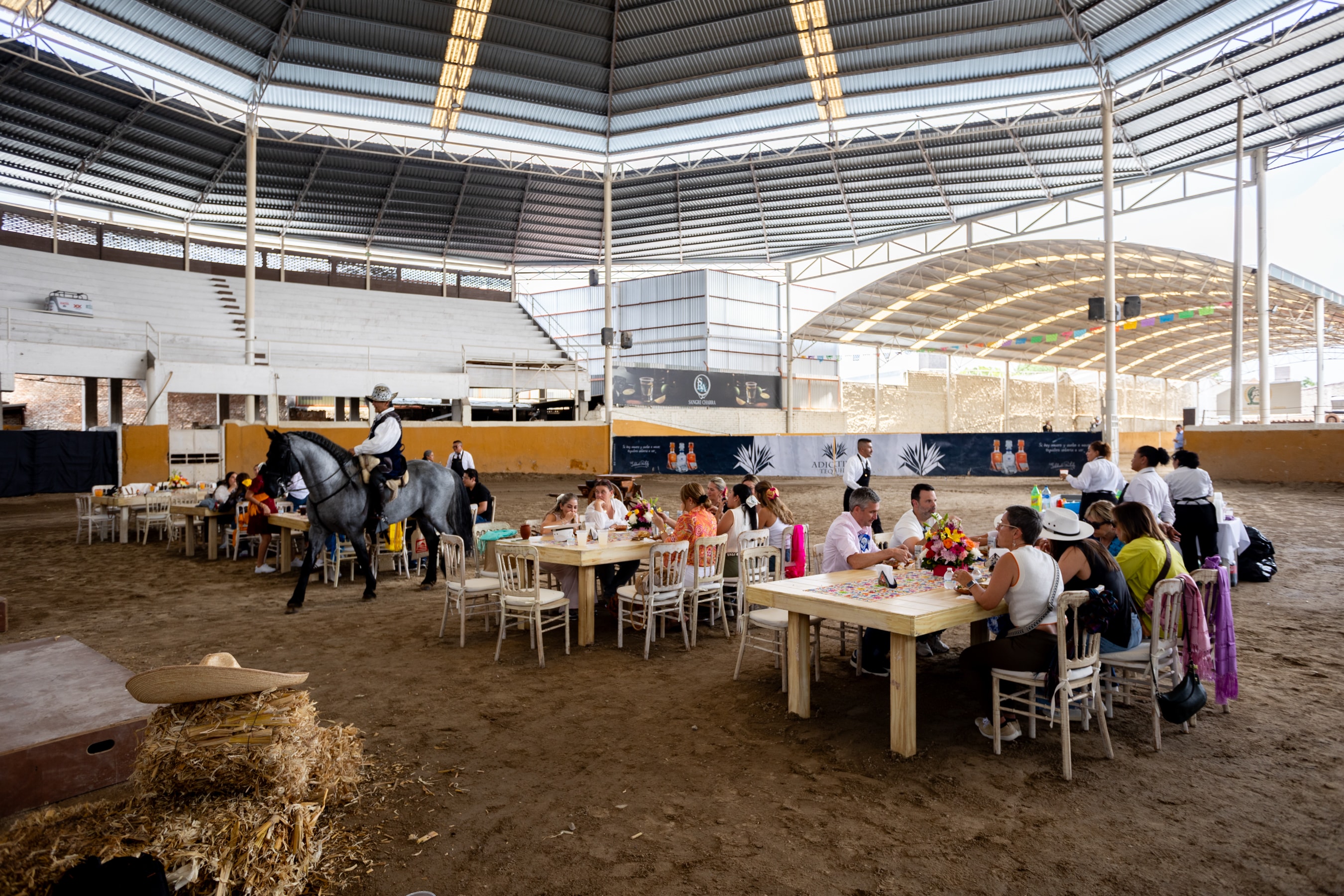 Cena grupal en el Lienzo Charro con caballo tordillo al fondo